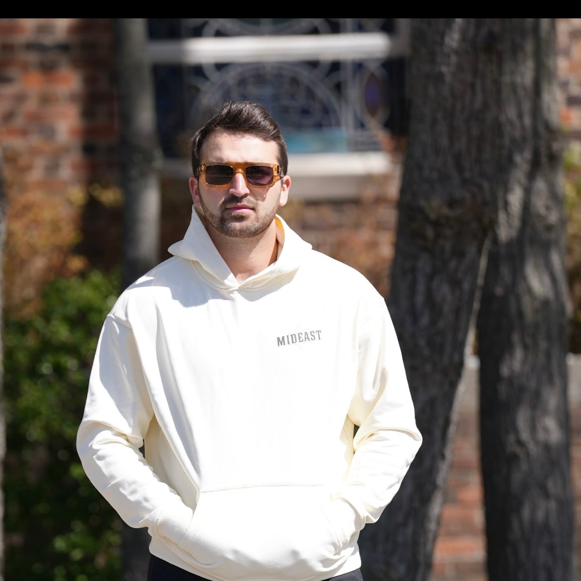 Lion Hoodie