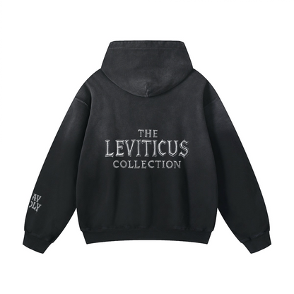 Sun Faded Hoodie