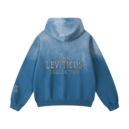 Sun Faded Hoodie