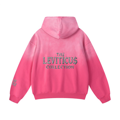 Sun Faded Hoodie